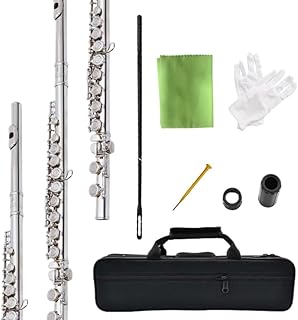 HOGSN flute 16-hole closed-hole C-tone nickel-plated, beginner to play graded flute, with box and cleaning kit.