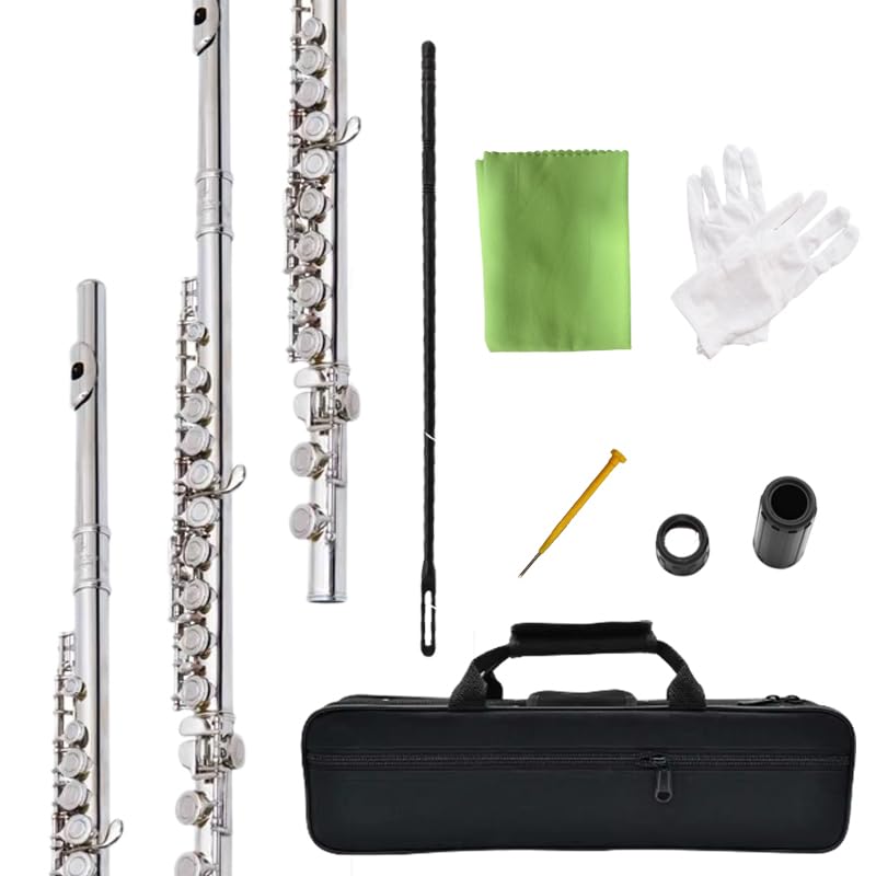 HOGSN flute 16-hole closed-hole C-tone nickel-plated, beginner to play graded fl