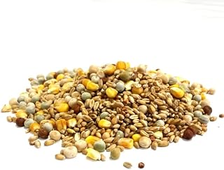 Mixed Pigeon Corn 1kg Premium Quality Bird Food LJJ