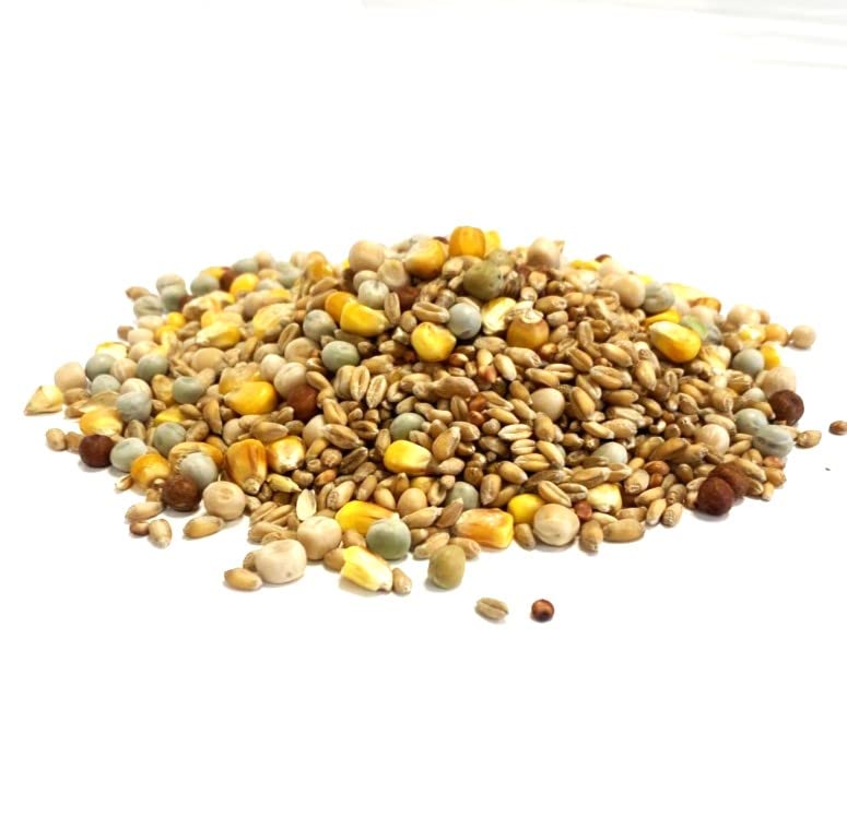 Mixed Pigeon Corn 1kg Premium Quality Bird Food LJJ