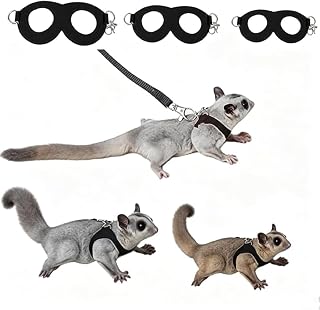 RIGHTWELL Sugar Glider Harness and Leash Set, Escape-Proof 3-Piece Adjustable Vest for Squirrels, Rats, Mice, Hamster, Gerbil, Small Animals, Black