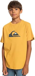 Quiksilver Comp Logo SS Yth Children's and Youth T-Shirt (Pack of 1)