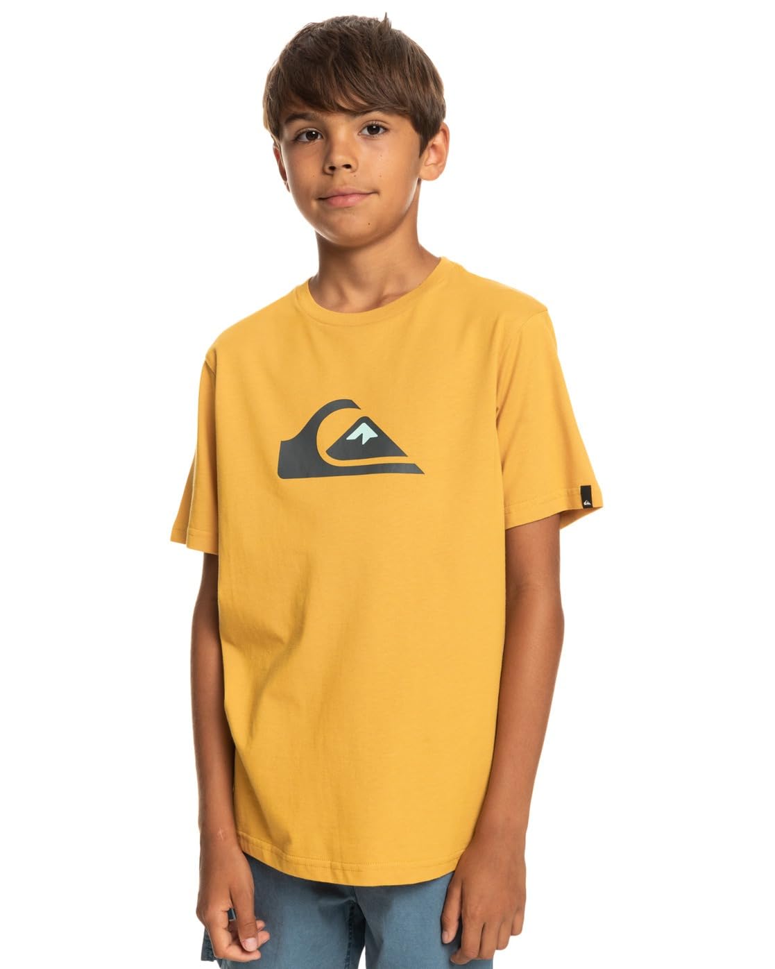 Quiksilver Comp Logo SS Yth Children's and Youth T-Shirt (Pack of 1)