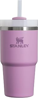 Stanley Quencher H2.0 Tumbler with Straw 20 oz | Flowstate 3-Position Lid | Cup Holder Compatible for Travel | Insulated Stainless Steel Cup | BPA-Free | Lilac