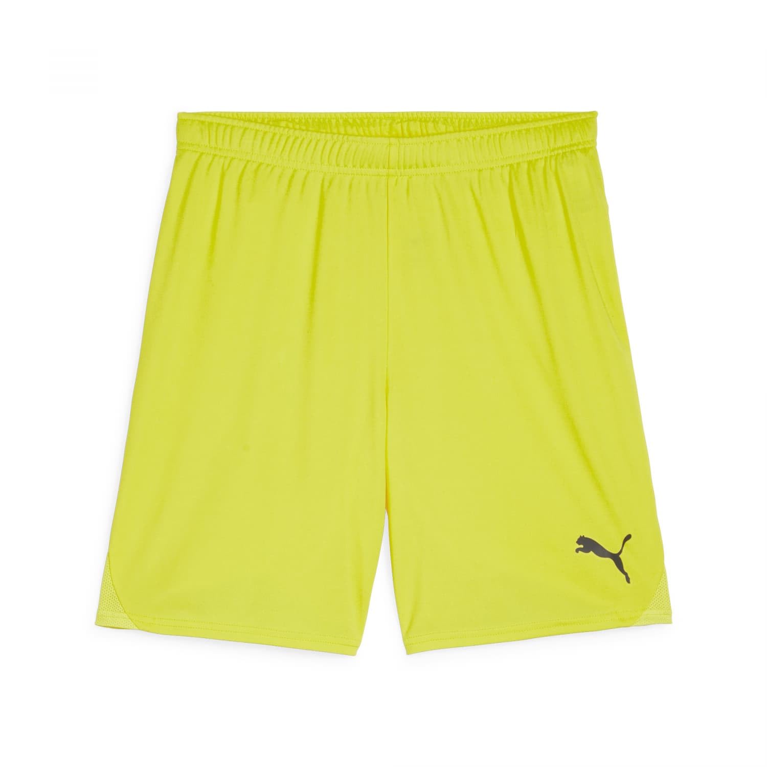 Puma Teamgoal Shorts - Unisex Adult Knit Shorts