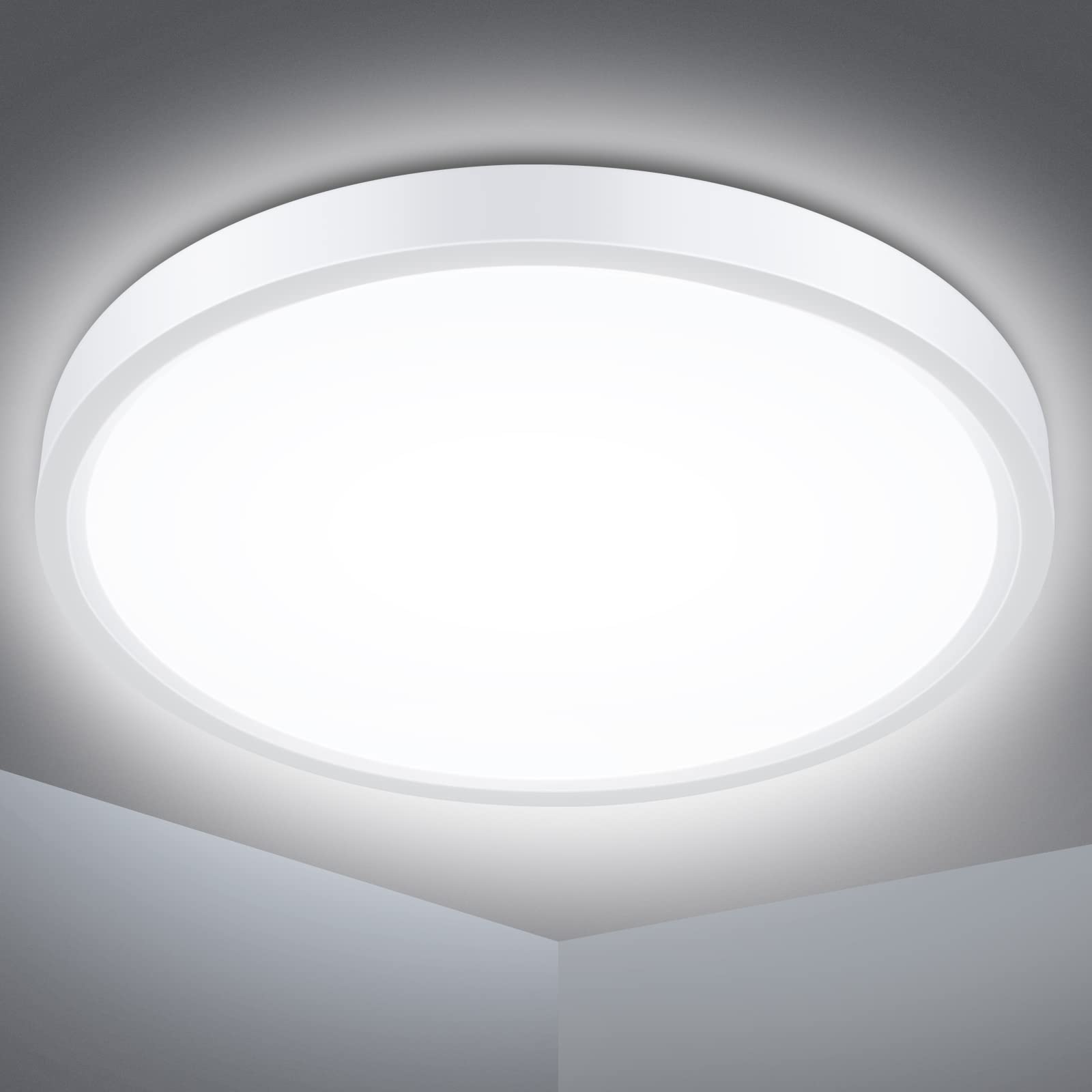 Defurhome Bathroom Ceiling Light Ø22CM 18W 1500LM,100W Equivalent,5000K Daylight