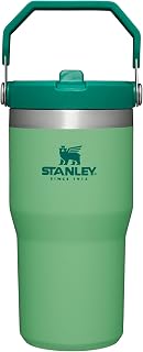 Stanley IceFlow Flip Straw Tumbler with Handle 20 oz | Twist On Lid and Flip Up Straw | Leak Resistant Water Bottle | Insulated Stainless Steel |BPA-Free | Jade