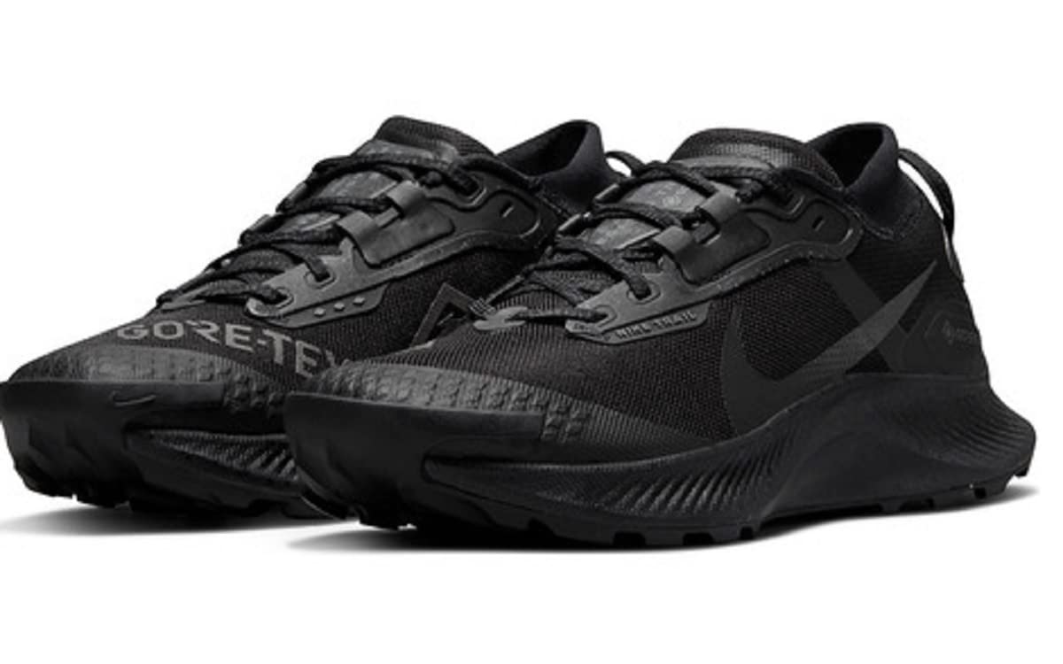 Nike Pegasus Trail 3, Women's Walking Shoes, Black Black Dk Smoke Grey Iron, 40.