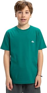 Quiksilver Basic SS Tee Youth Boys' T-Shirt (Pack of 1)