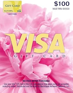 Visa Physical Gift Card $100 (plus $5.95 Purchase Fee)