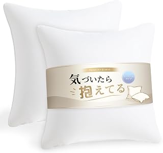 Kumori Nude Cushion, 23.6 x 23.6 inches (60 x 60 cm), Set of 2, Washable, Stays in Shape, Backrest, Plenty of Volume, Won't Sag, Cushion Insert