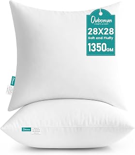 Oubonun 28 x 28 Throw Pillow Inserts (Pack of 2)