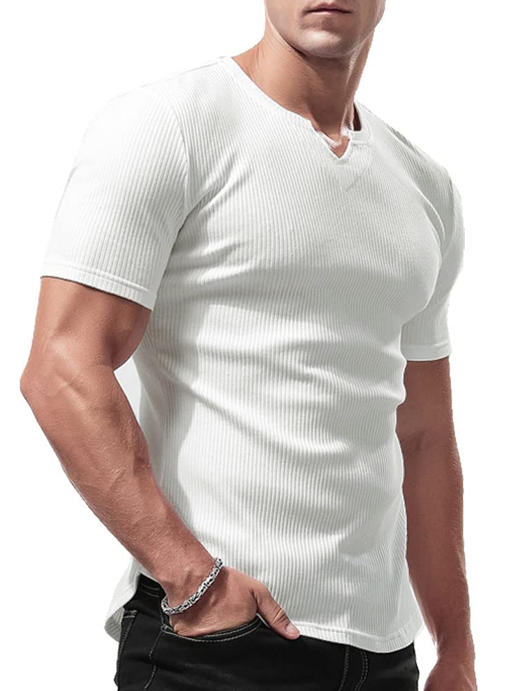 Lehmanlin Men's Long-Sleeved Short-Sleeved Sports T-Shirt, Elastic V-Neck, Muscl