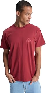 Quiksilver Ev Men's Mini Logo SS T-Shirt (Pack of 1)