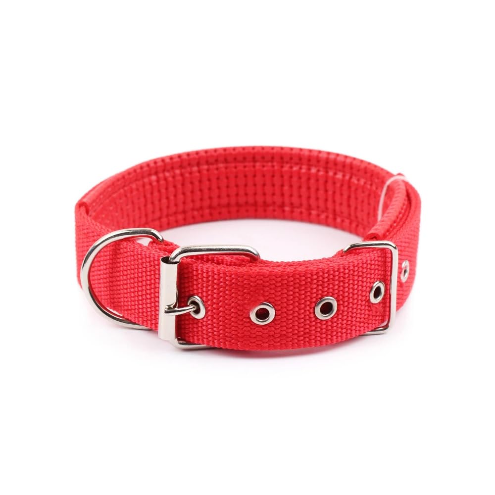 Adjustable Dog Collar, Soft Nylon Padding for Comfort, Durable and Secure Fit, S