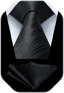 HISDERN Men's Ties Solid Colour Elegant Business Tie Wedding and Handkerchief Set Ties Classic Plaid Party