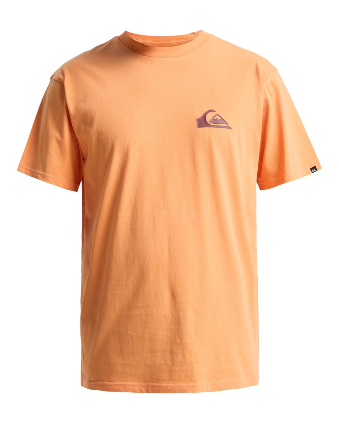 Quiksilver Ev Mini Logo SS EV Mini Logo SS Men's (Pack of 1)