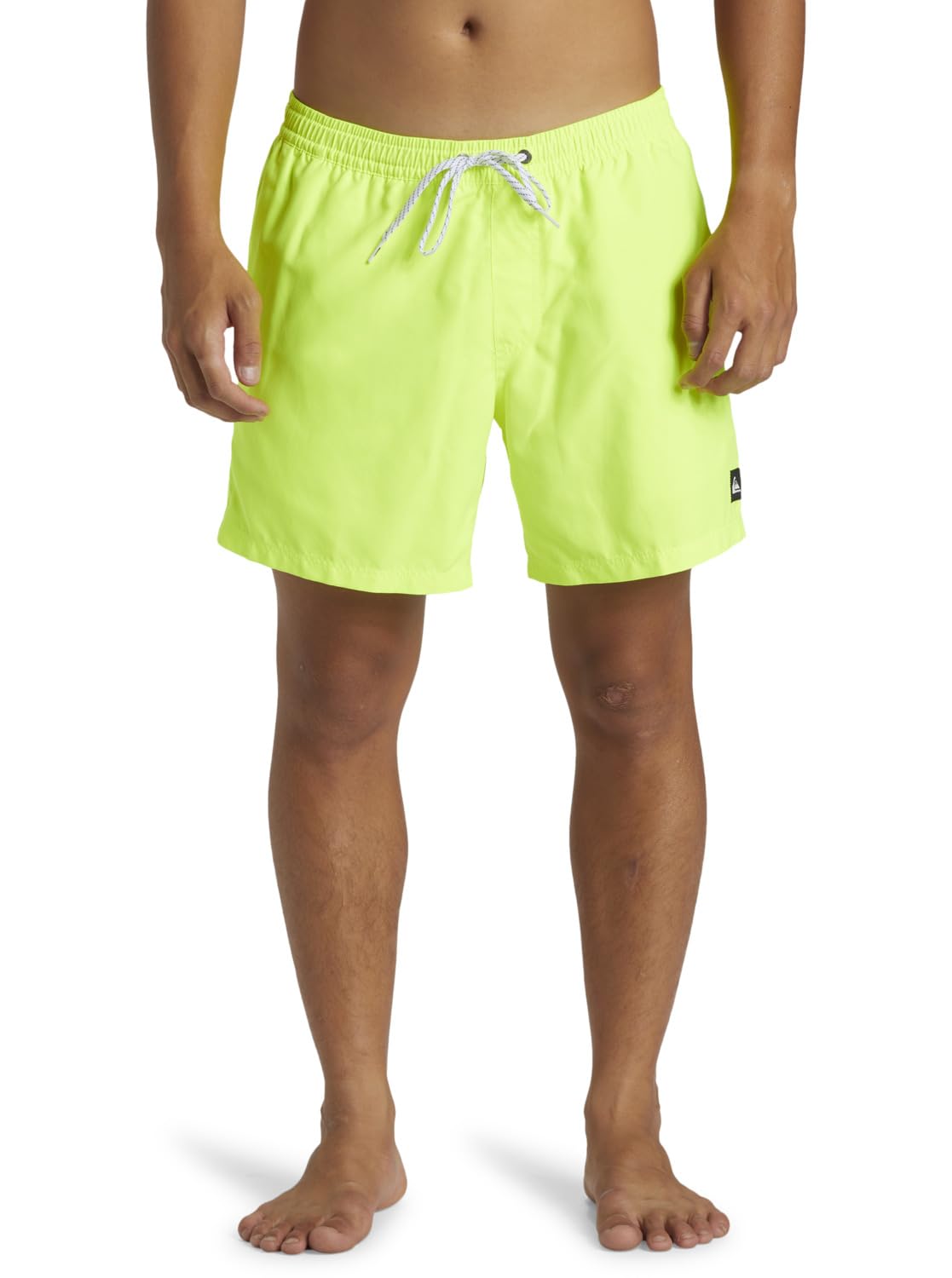 Quiksilver Everyday Solid 15" Men's Shorts (Pack of 1)