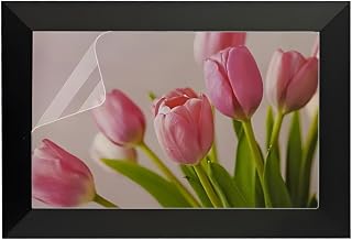 2 Pack Anti-Glare Screen Protector for 10.1 Inch WiFi Digital Picture Frame | Eyes Protection Filter Film Reduce Eyes Strain