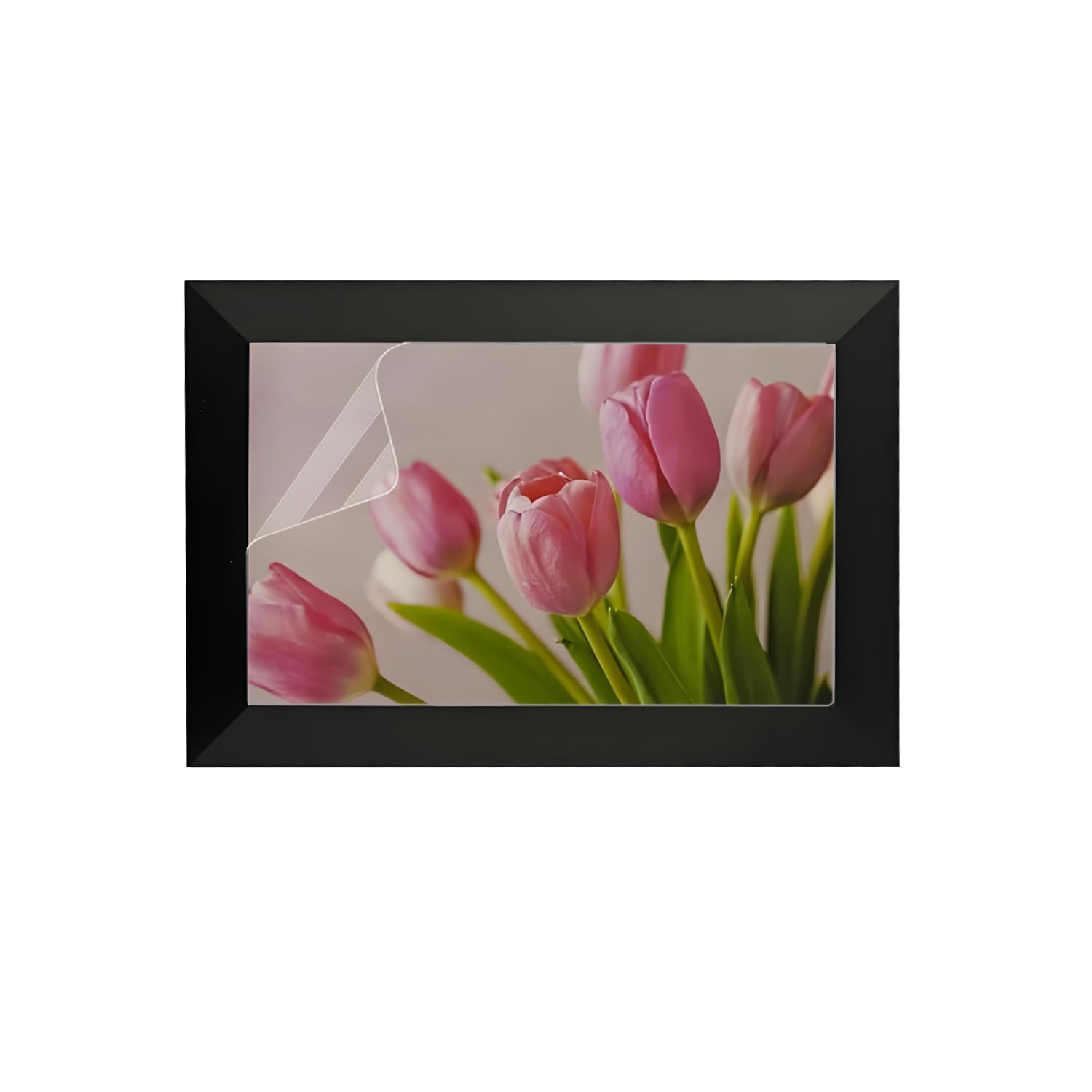 2 Pack Anti-Glare Screen Protector for 10.1 Inch WiFi Digital Picture Frame | Ey