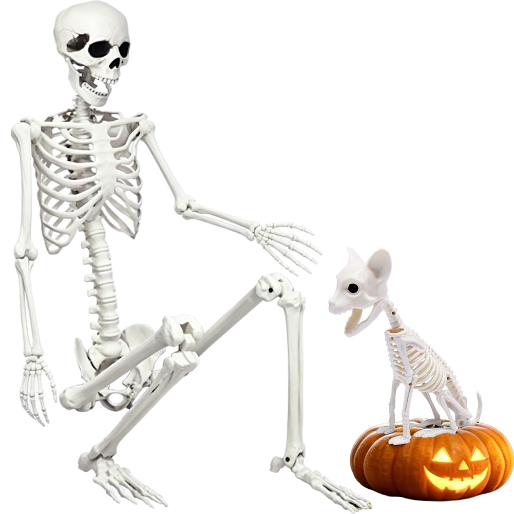 5.9Ft Halloween Life Size Skeleton with Cat for Halloween Party Decor | Full Siz