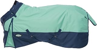 TOUGH1 1200D Turnout Blanket with SNUGGIT, 300-G, SEA Glass, 69-in