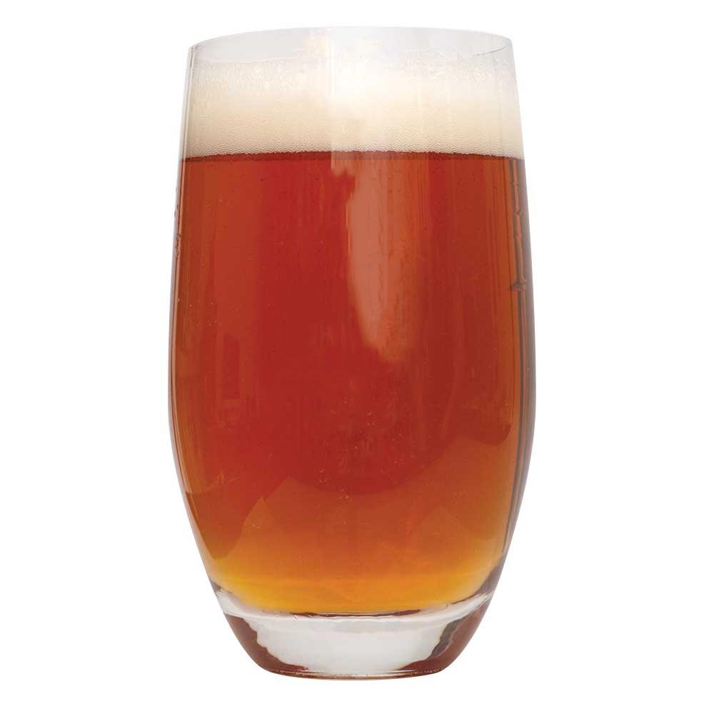 Northern Brewer Smashing Pumpkin Amber Ale Beer Homebrewing Kit, 5 Gal