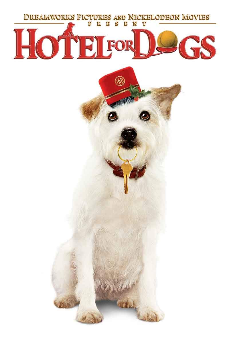 HOTEL FOR DOGS