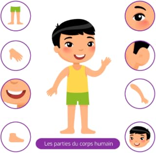 Les parties du corps humain - pour les enfants