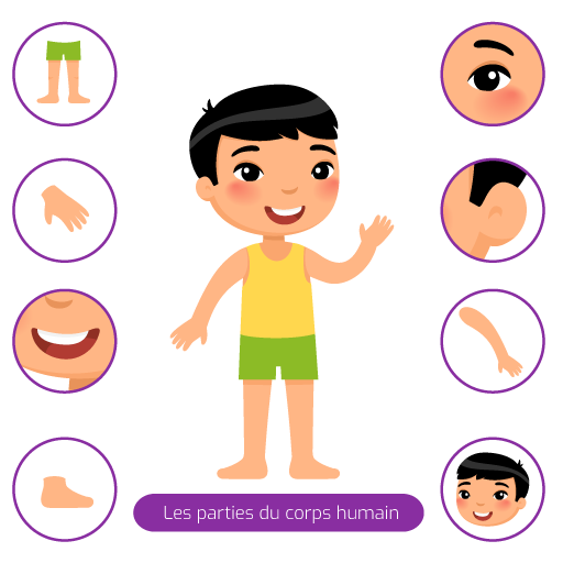 Les parties du corps humain - pour les enfants