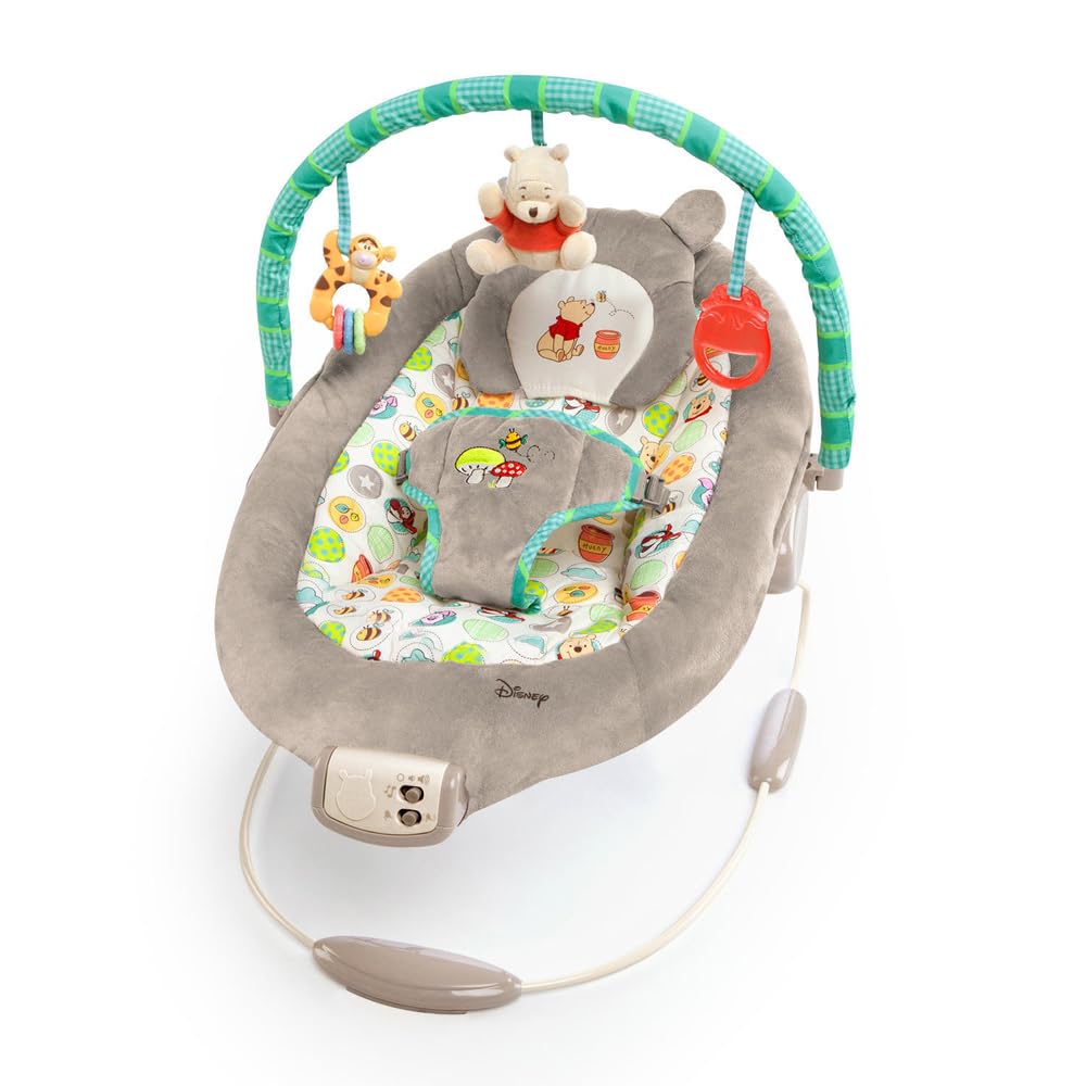 Bright Starts Disney Baby Winnie the Pooh Baby Bouncer Soothing Vibrations Delux