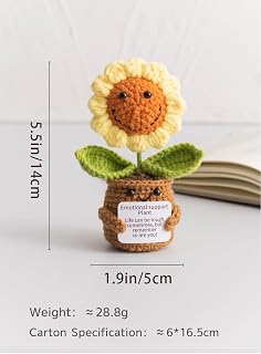 Handmade Crochet Pot Gift - Knitting Pot for Women, Colleagues, Teachers - Cute Graduation, Desk Decoration, Unique String Bouquet