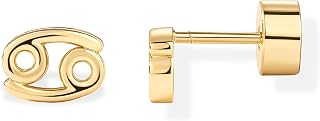 PAVOI 14K Gold Plated Zodiac Sign Flat Back Earrings for Women, Dainty Stud