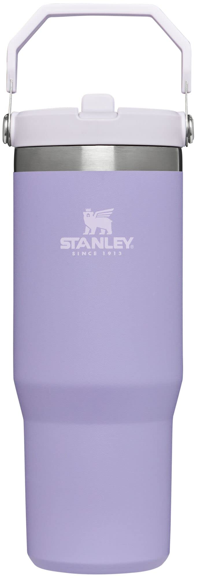 STANLEY IceFlow Stainless Steel Tumbler - Vacuum Insulated Water Bottle for Home