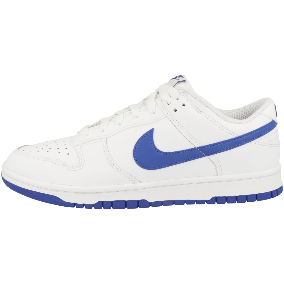 Nike Dunk Low Retro DV0831104 Sports Shoes