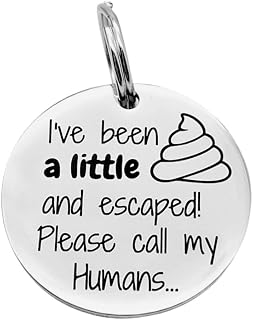 Personalised Engraved Dog ID Tag, Cat Name Tag, Stainless Steel Custom Pet Name Tag