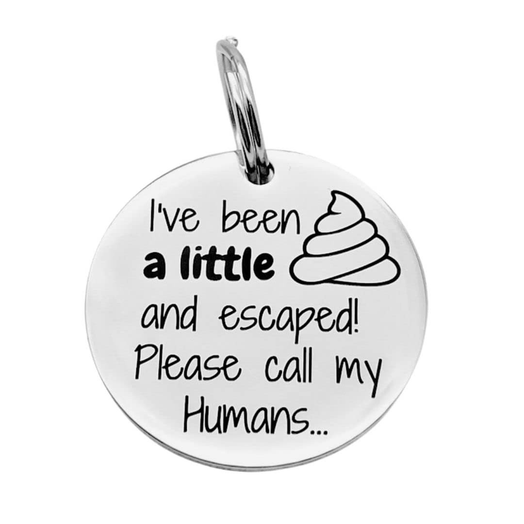Personalised Engraved Dog ID Tag, Cat Name Tag, Stainless Steel Custom Pet Name 