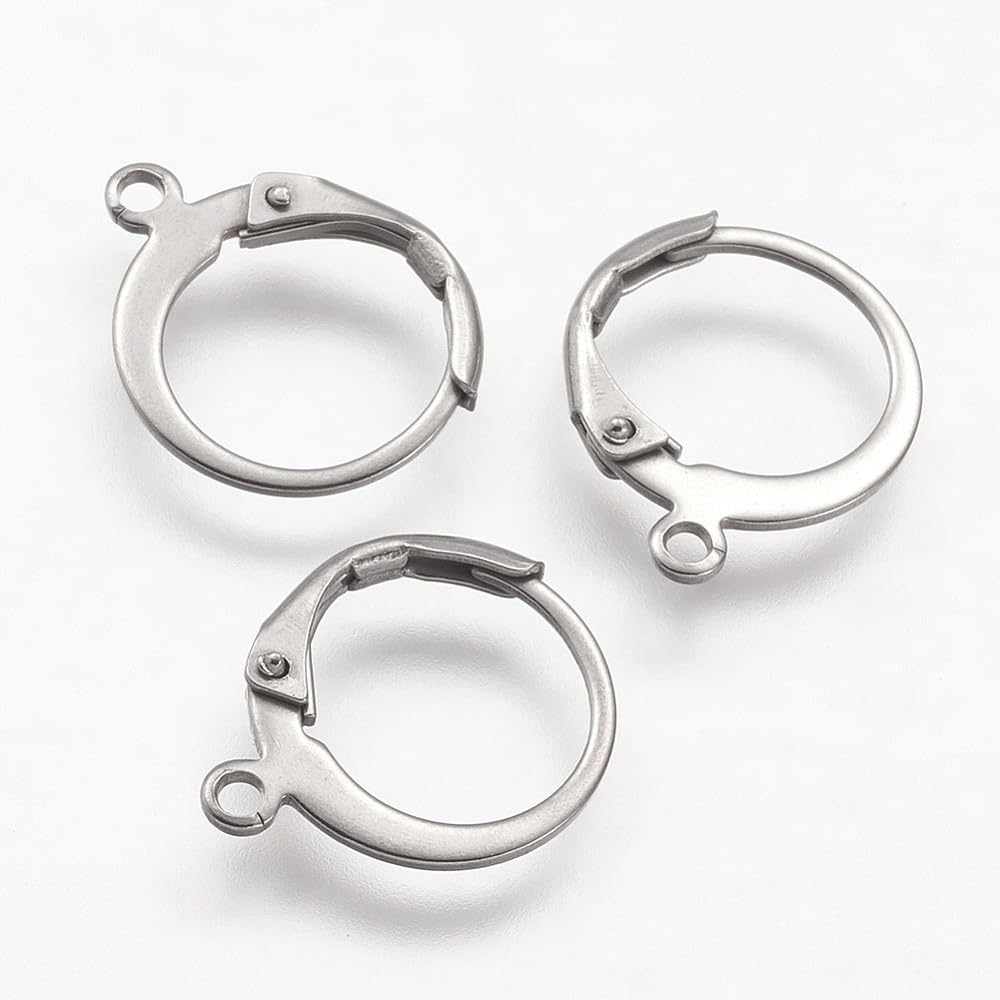 20pcs Stainless Steel Round Leverback Earrings Hooks French Hook Ear Wire Huggie