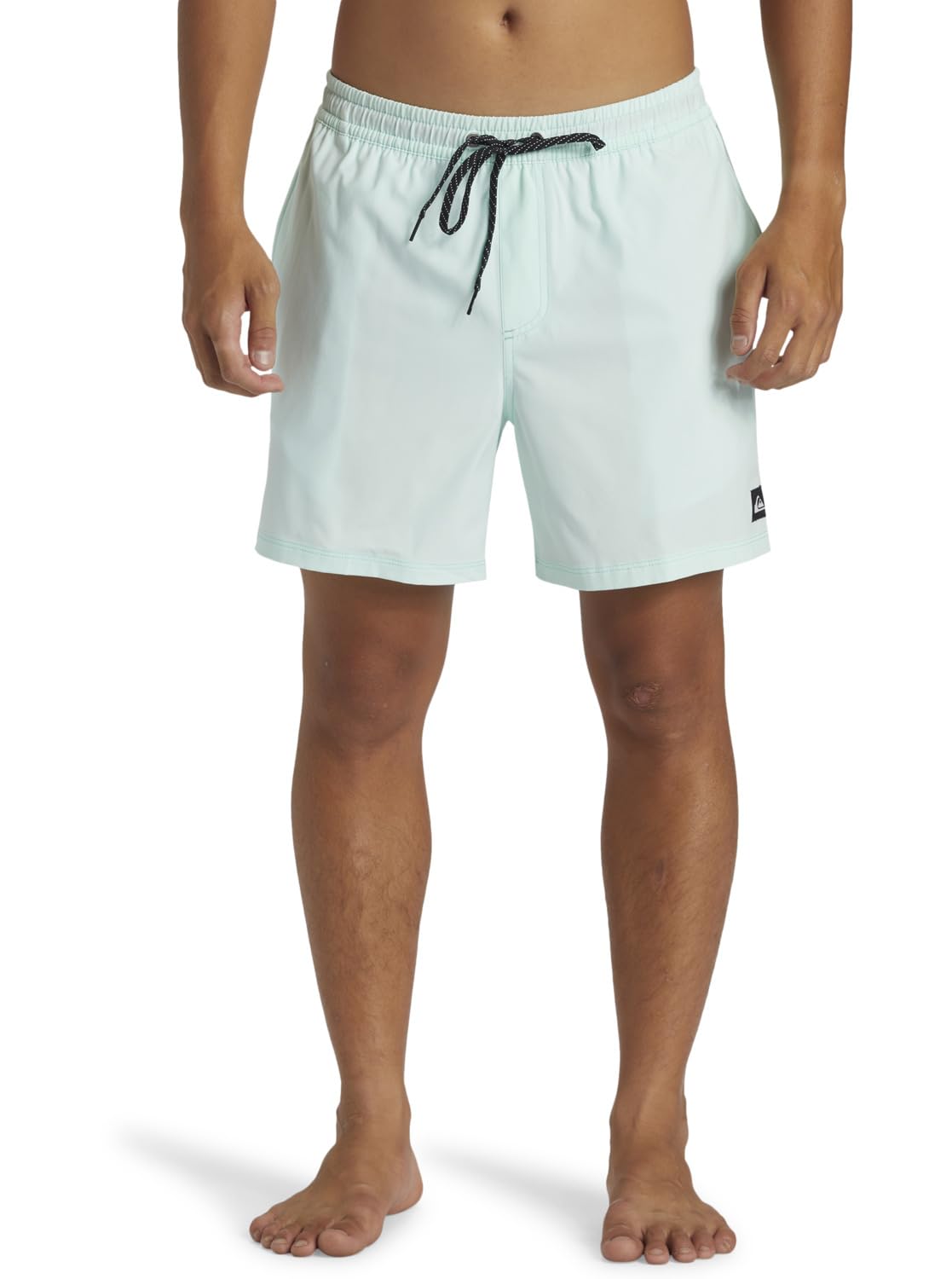 Quiksilver Surfsilk Solid Volley Men's 16 Shorts (Pack of 1)
