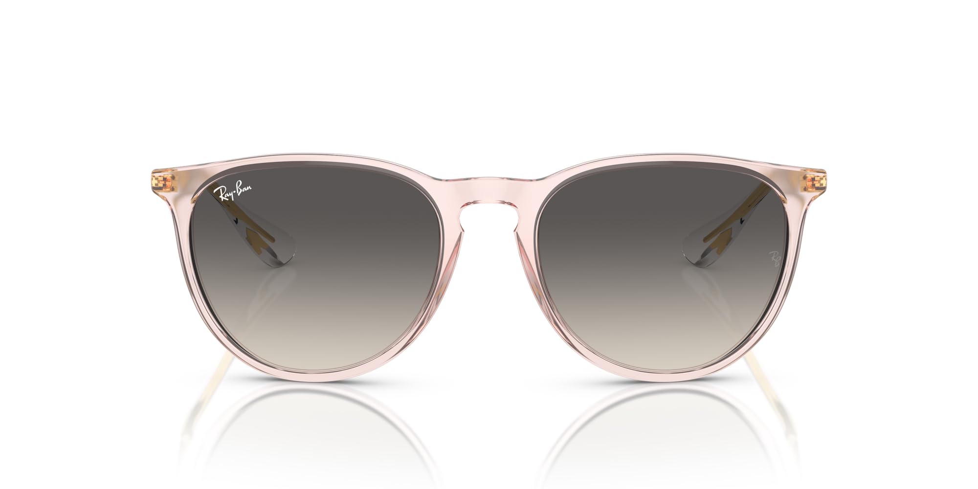 Ray-Ban RB4171 Erika Round Sunglasses