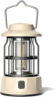 Retro Classic LED Camping Lantern, High Lumen, Daylight White 2500K and 5000K, Dimmable, Camping, Vintage Decoration, Emergency Waterproof (Battery Not Included) White-X