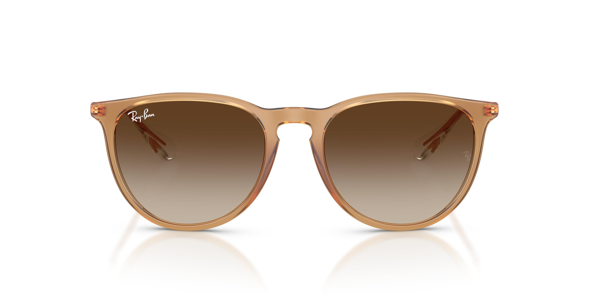 Ray-Ban Rb4171 Erika Round Sunglasses