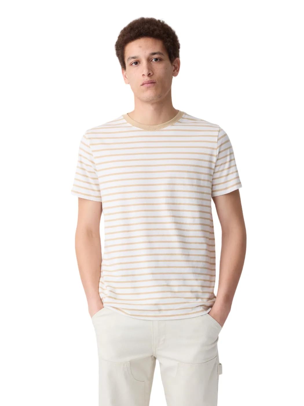 GAP Men's V-Everyday Soft Crew Stripe T-Shirt