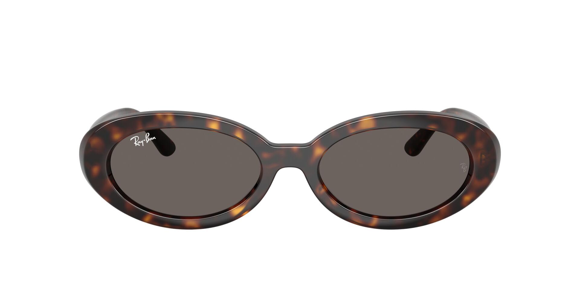 Ray-Ban EVOLUTION Women's Sunglasses