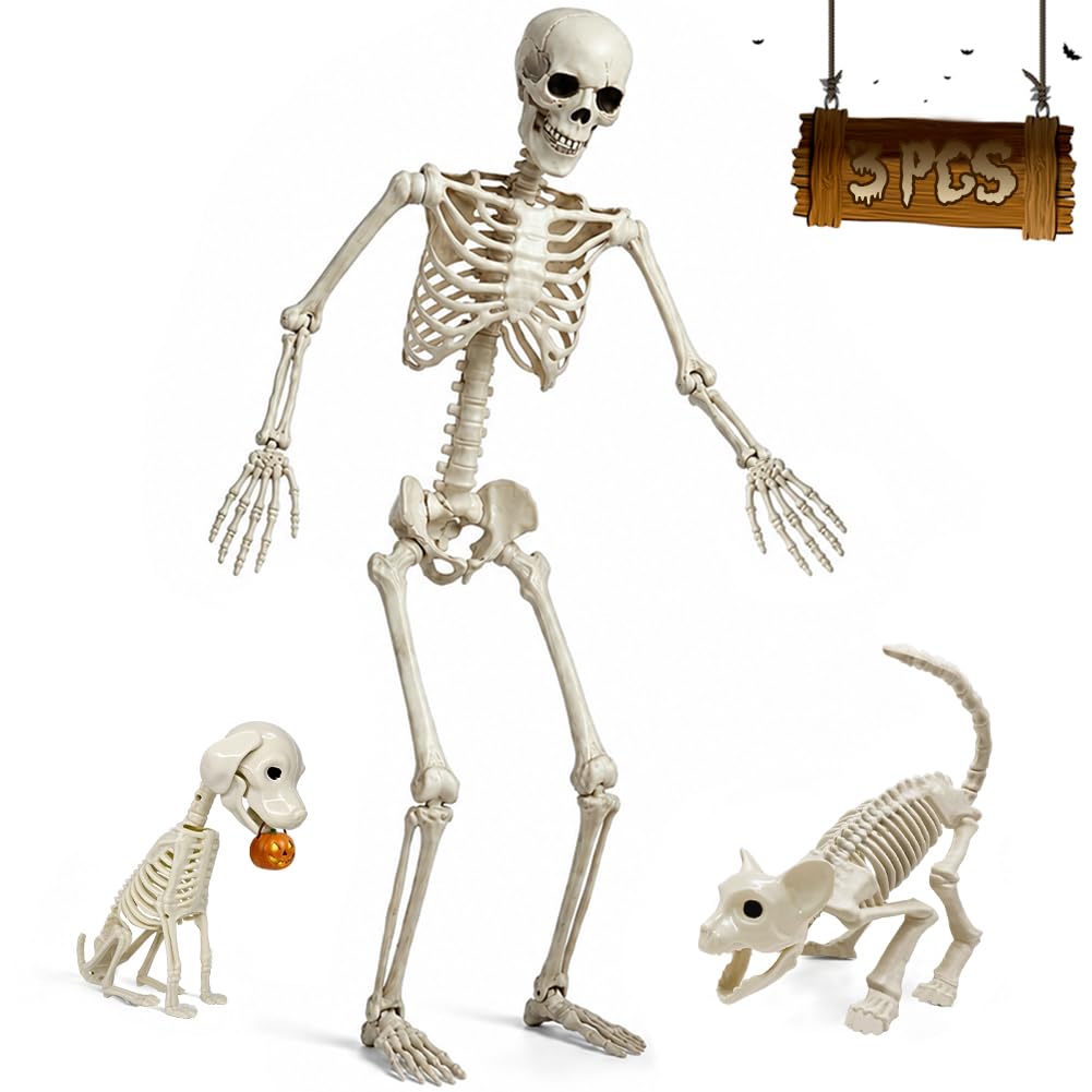 5.4FT Life Size Skeleton with Cat Dog, Plastic Skeleton for Halloween Decor | Fu
