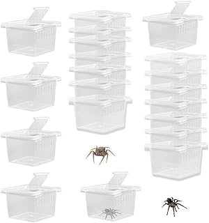 20 Pcs Tarantula Sling Enclosure,Insect Spider Terrariums Breeding Box,Small Sized Insect Cage,Plastic Hatching Container,Transparent Breeding Box,Mini Carrier for Snail Little Arthropod