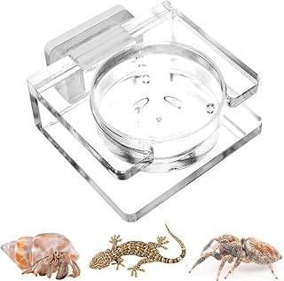 LALOCAPEYO Jumping Spider Feeding Dish,Transparent Acrylic Magnetic Tiny Tarantula Food Bowl Water Dish,for Jumping Spiders, Hermit Crabs, Geckos and Wolf Spiders Etc