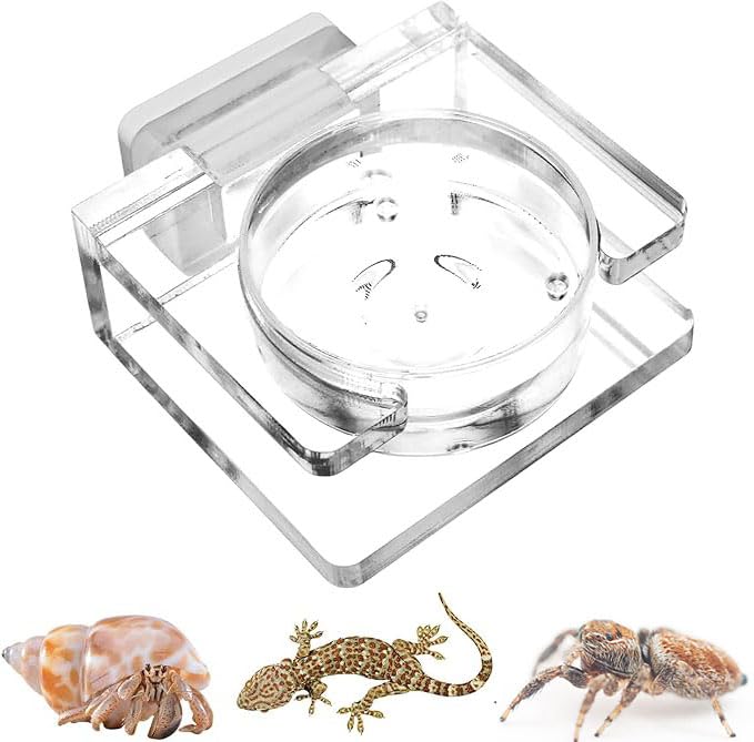 LALOCAPEYO Jumping Spider Feeding Dish,Transparent Acrylic Magnetic Tiny Tarantu