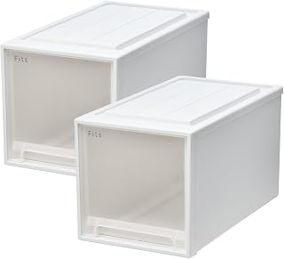 【通販限定2個セット】天馬 収納ボックス フィッツケース クローゼット 幅30×奥行53×高さ30cm 収納ケース 衣装ケース 53-30L