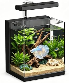 AQUASMITH Betta Fish Tank, 2 Gallon Aquarium Kit | All-in-One, Filtration & LED Light, Self-Cleaning, For Beginners, Kids, Gifts for Men, Teen Boys